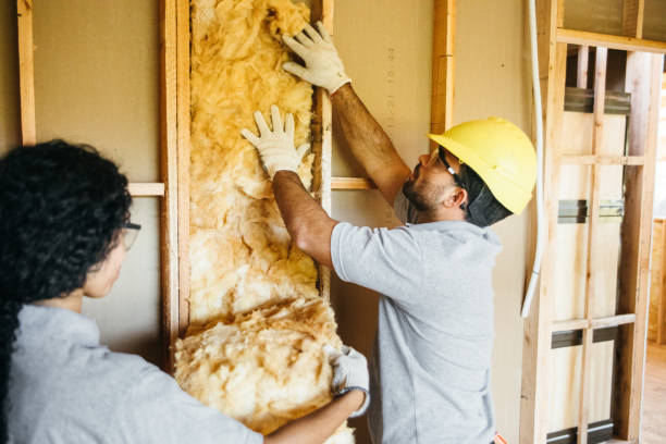 Best Affordable Insulation Services  in Sutherland, NE