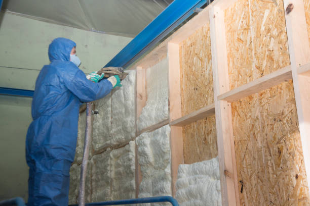 Insulation Replacement Services in Sutherland, NE